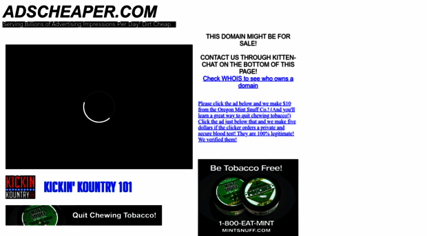 blackbearwine.com