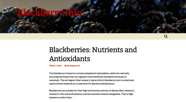 blackberry.info