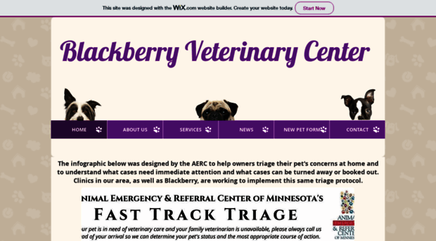 blackberryvet.com