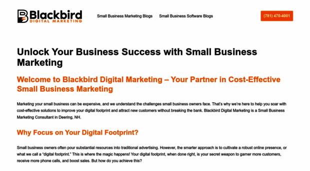 blackbirddigitalmarketing.com