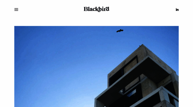 blackbirdfly.co.za