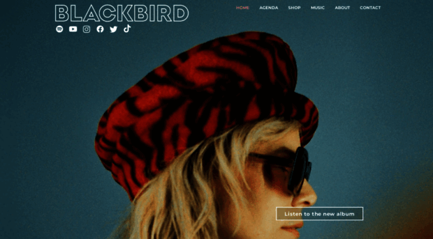 blackbirdmusic.com