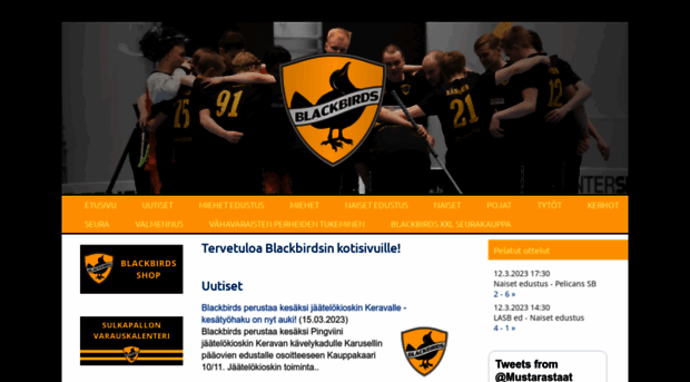 blackbirds.fi