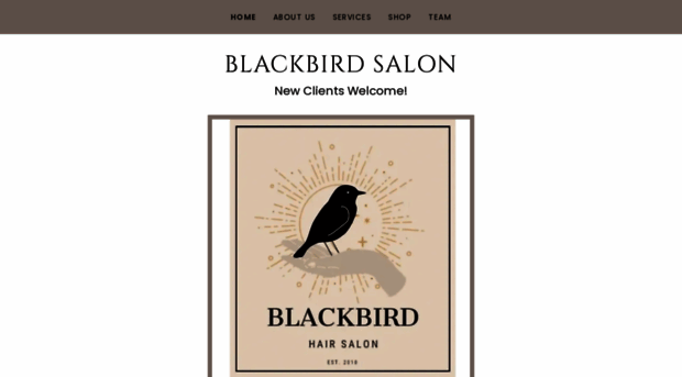 blackbirdsalon.com