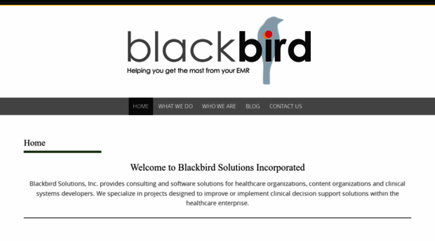 blackbirdsolutions.com