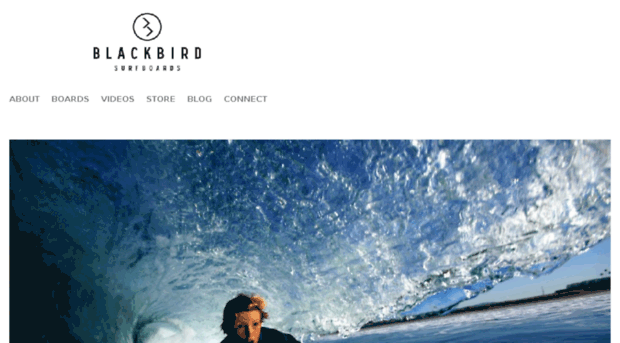 blackbirdsurf.com