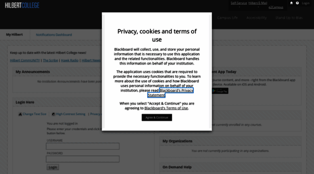 blackboard.hilbert.edu