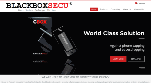 blackboxsecu.com