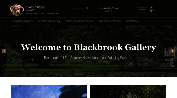 blackbrookgallery.co.uk