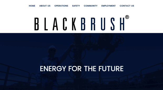 blackbrushenergy.com