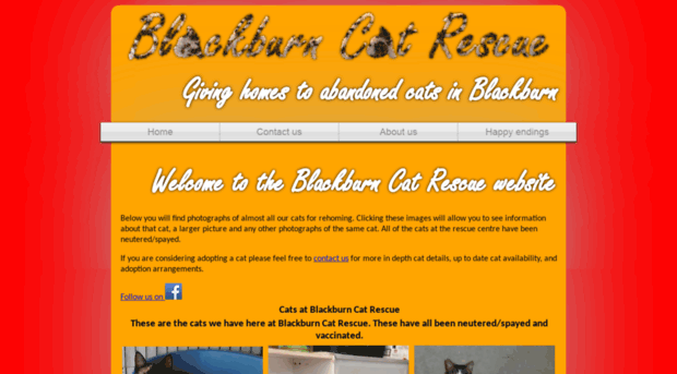 blackburncatrescue.org