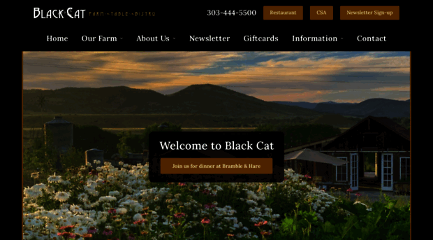 blackcatboulder.com