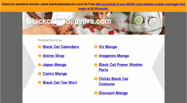blackcatendeavors.com