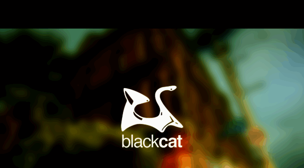 blackcatfitzroy.com