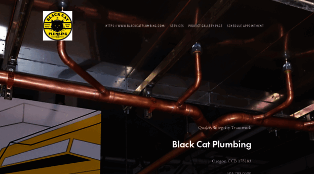 blackcatplumbing.com