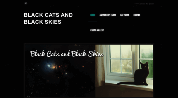 blackcatsandblackskies.weebly.com