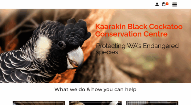 blackcockatoorecovery.com