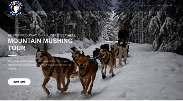 blackcombdogsled.com