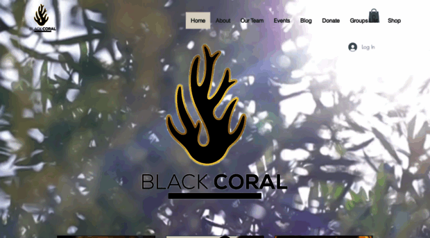 blackcoralinc.org