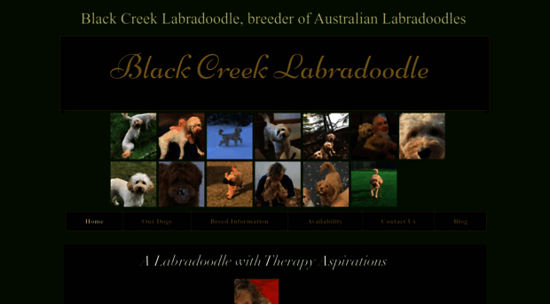 blackcreeklabradoodles.com