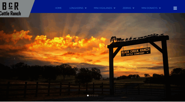 blackcreekranch.com