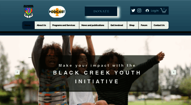 blackcreekyouthinitiative.com