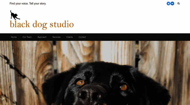 blackdogstudiopr.com