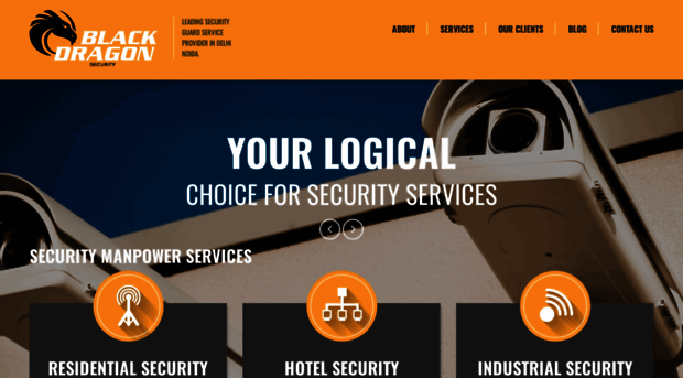 blackdragonsecurity.com