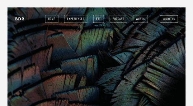 blackduckrevival.com