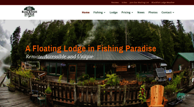 blackfishlodge.com