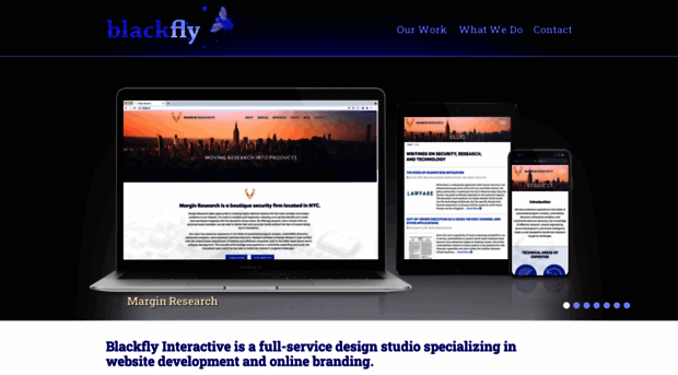 blackflyinteractive.com