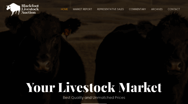 blackfootlivestockauction.com