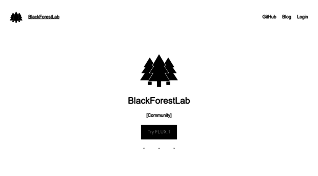 blackforestlabs.io