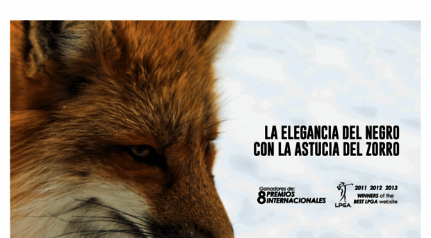 blackfox.mx