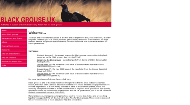 blackgrouse.info