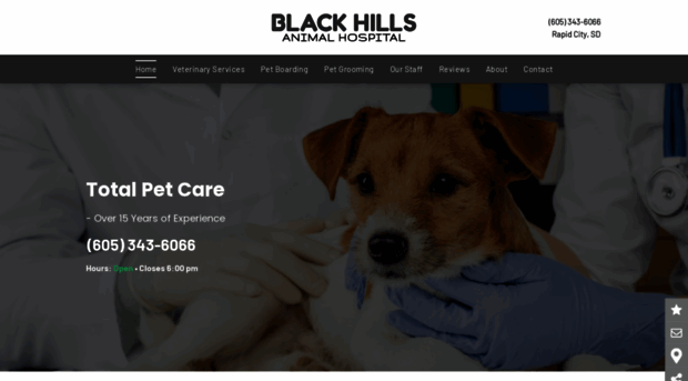 blackhillsanimalhospital.net