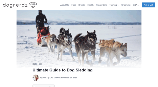 blackicedogsledding.com