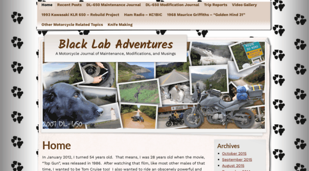 blacklabadventures.com