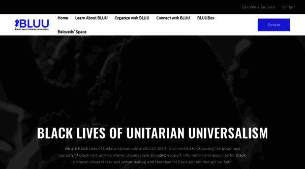 blacklivesuu.com