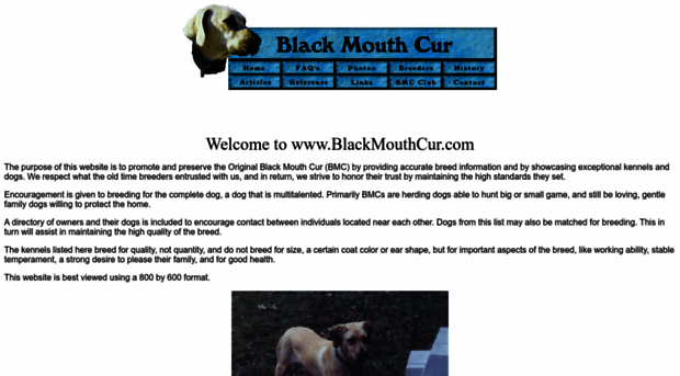 blackmouthcur.com