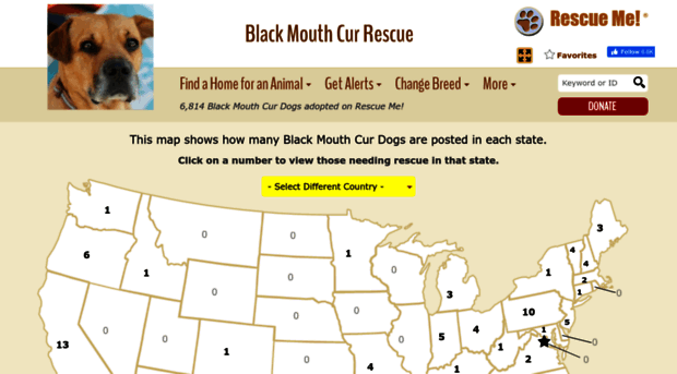 blackmouthcur.rescueme.org