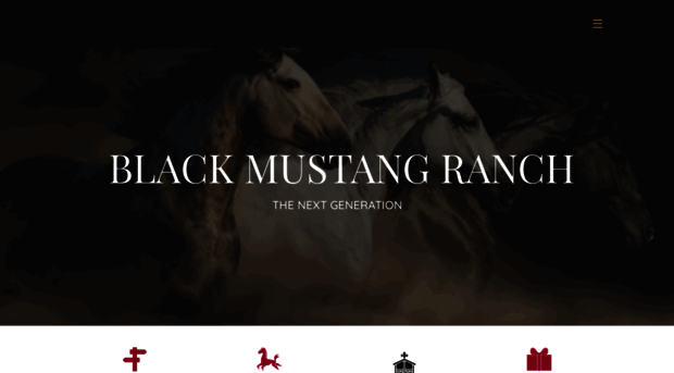 blackmustangranch.com