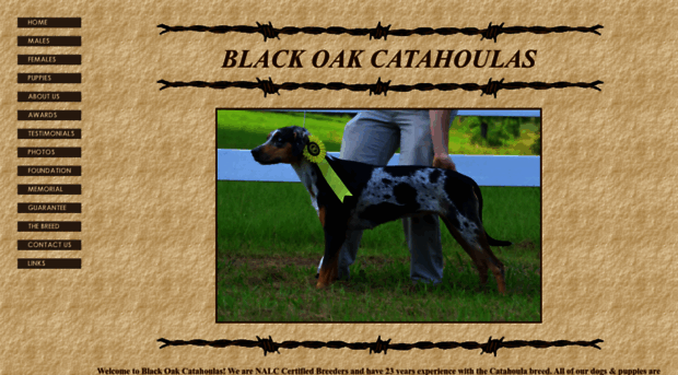 blackoakcatahoulas.com