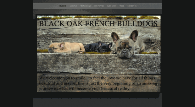 blackoakfrenchbulldogs.com