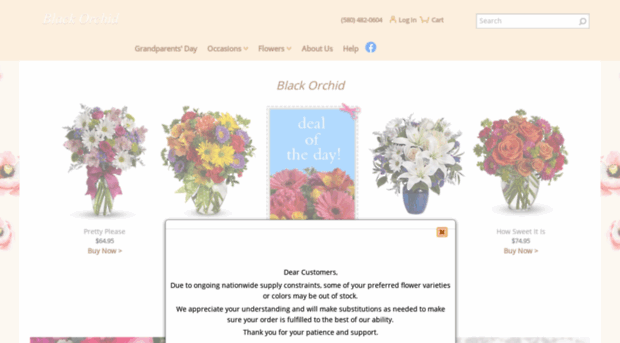 blackorchidaltus.com