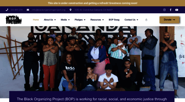 blackorganizingproject.org