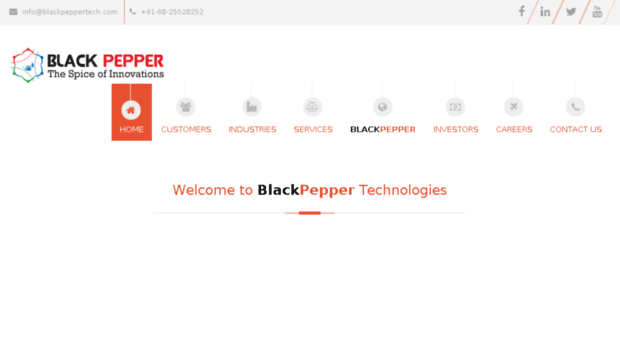 blackpeppertech.com