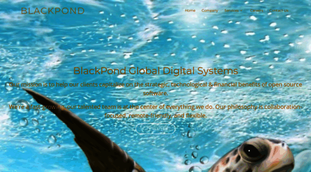 blackpond.co.in