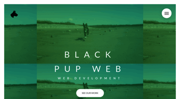 blackpupweb.com