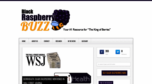 blackraspberrybuzz.com